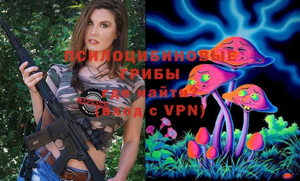 2c-b Иннополис