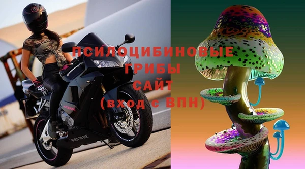 мескалин Инта