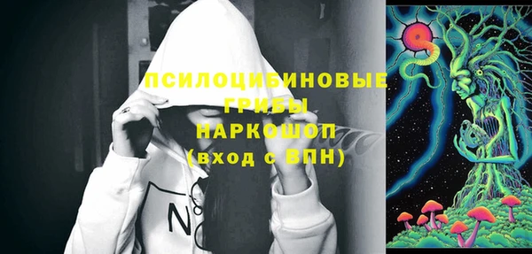 мескалин Инта